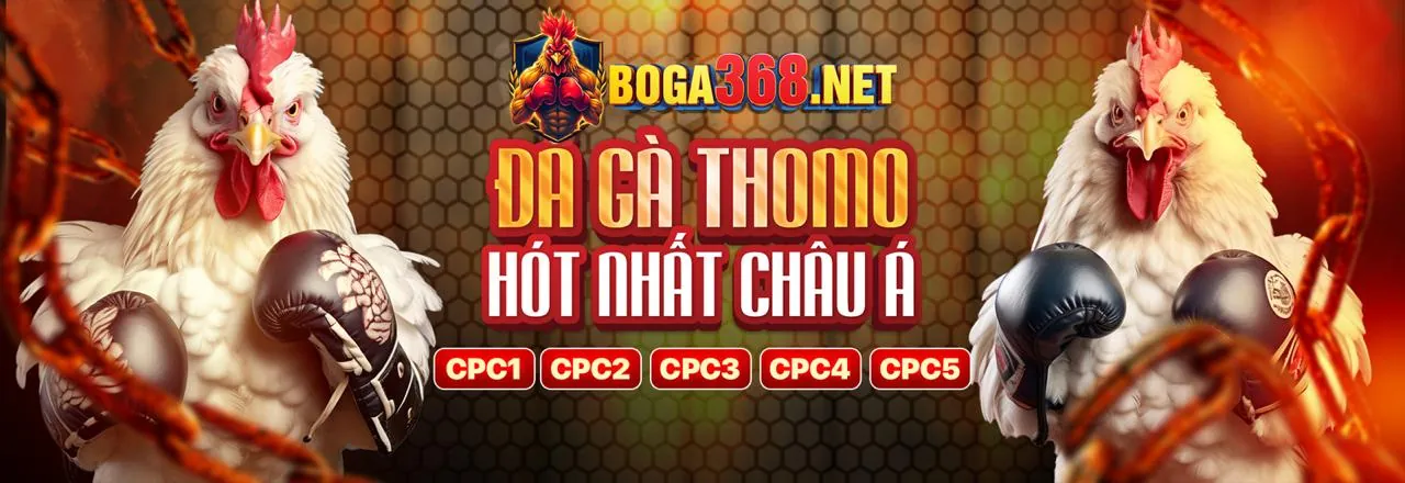 Hình ảnh chính blog Sanvip trang chủ chính thức